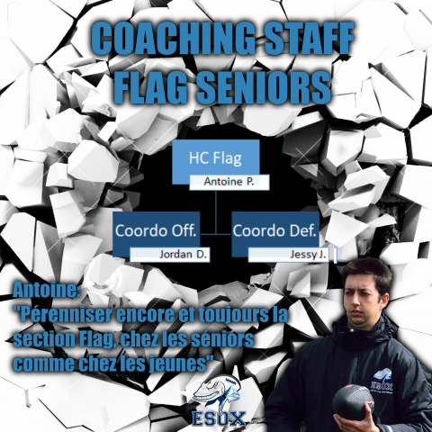CoachingFlag